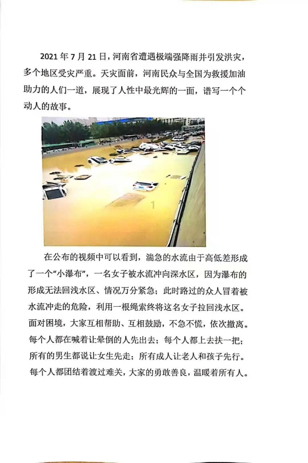 可怜猫的救援
